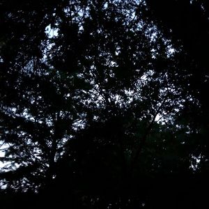 Meet your Posher, Jake